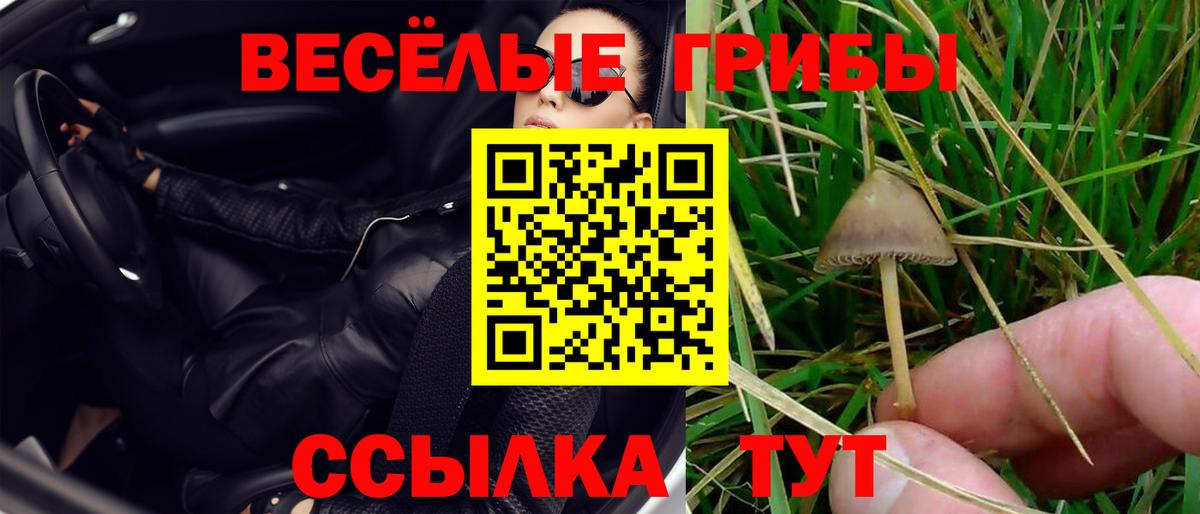 Родники  Галлюциногенные грибы Psilocybe  Галлюциногенные грибы прущие грибы  Вход с VPN 