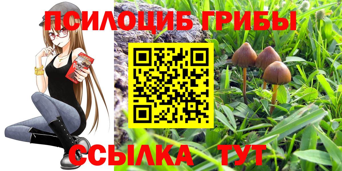 Галлюциногенные грибы MAGIC MUSHROOMS Родники